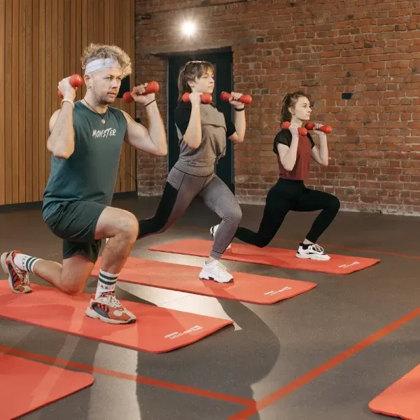 Group Fitness Instructor Certificate (AFAA GFI)